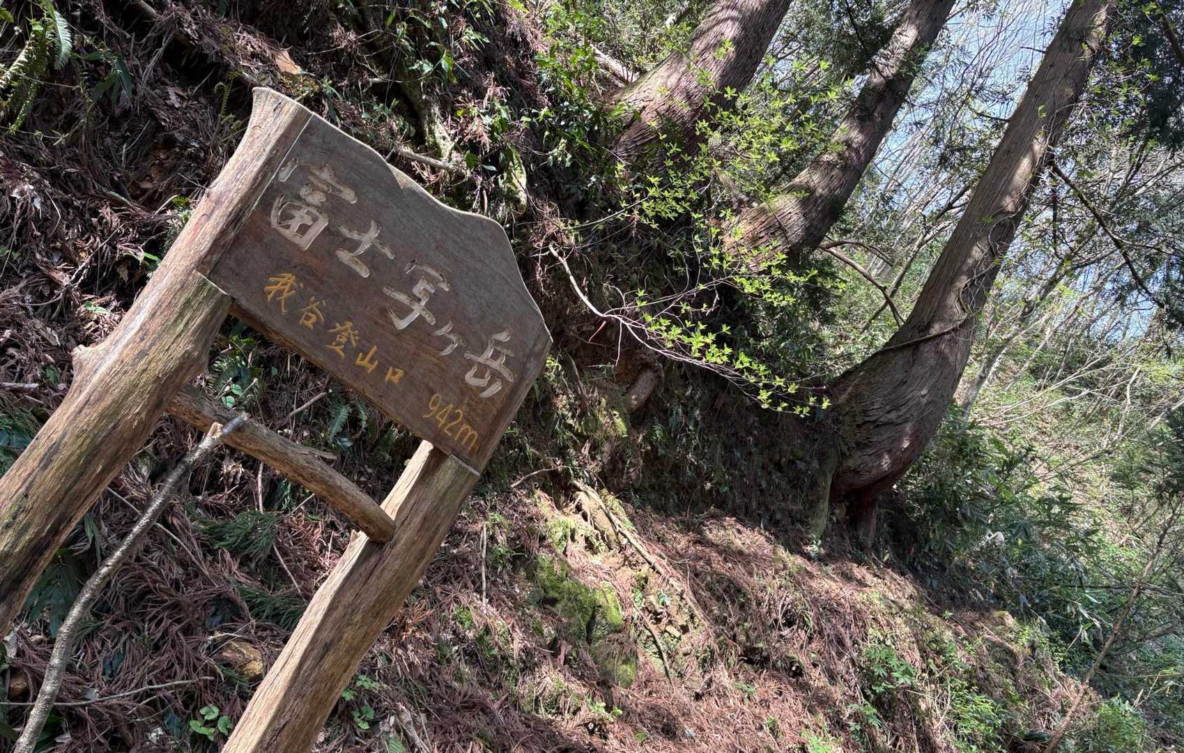 その影響か　倒木多し
