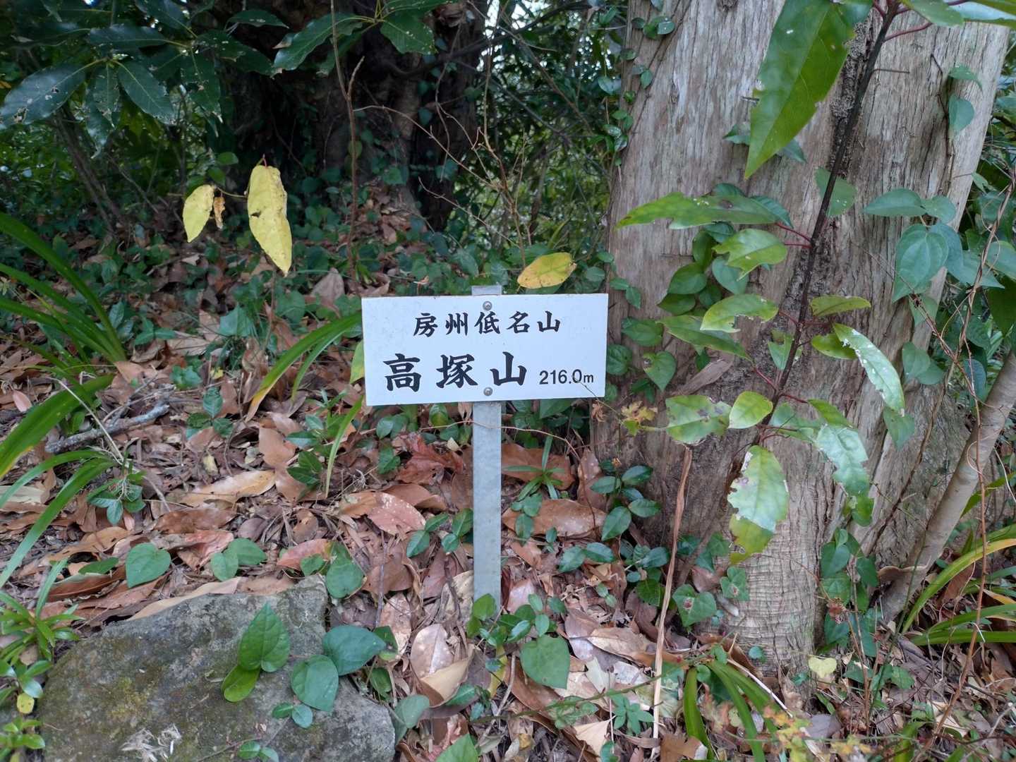 高塚山山頂
房州低名山の山名板。