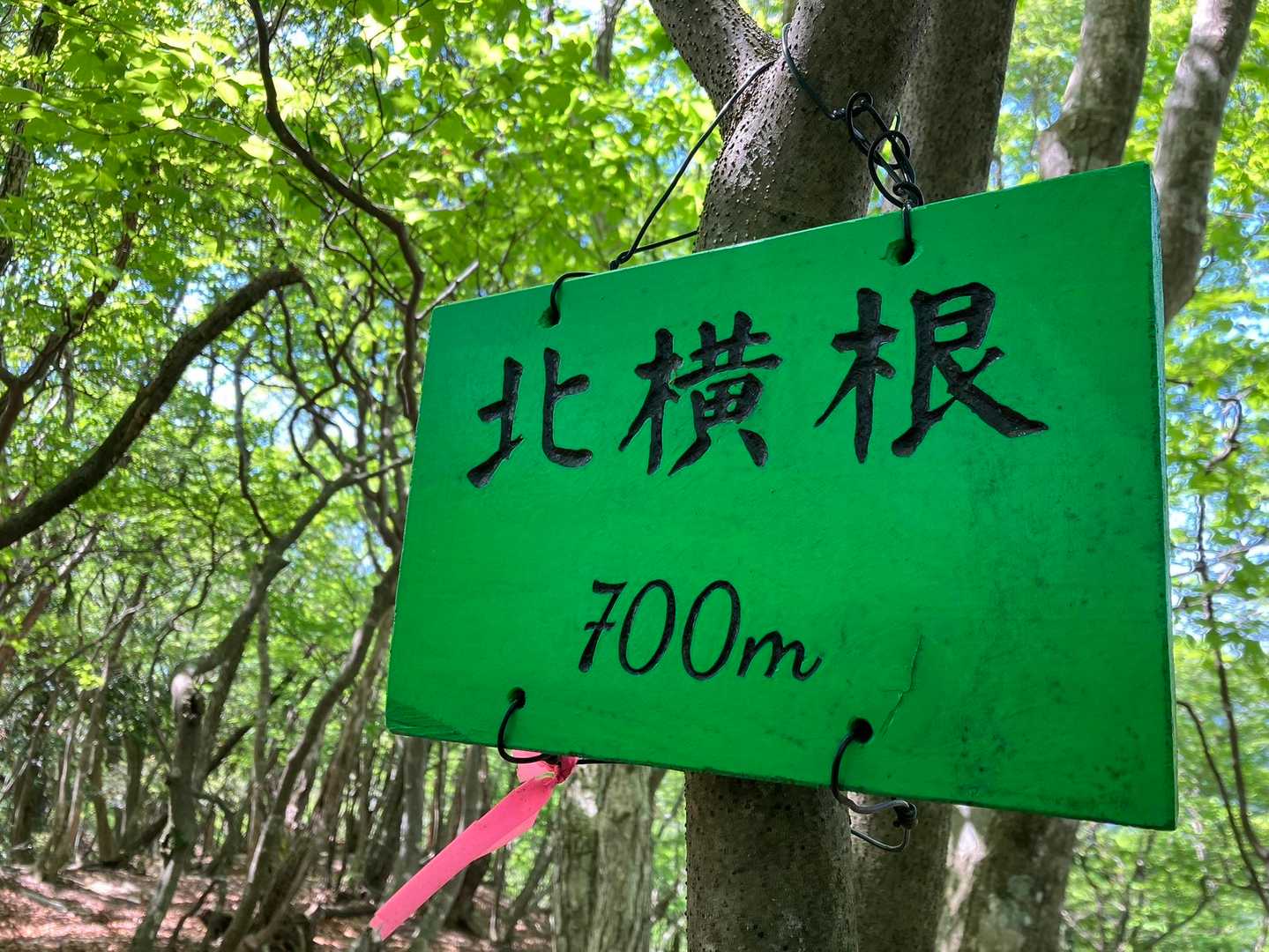 いつかピークに認定されるといいな