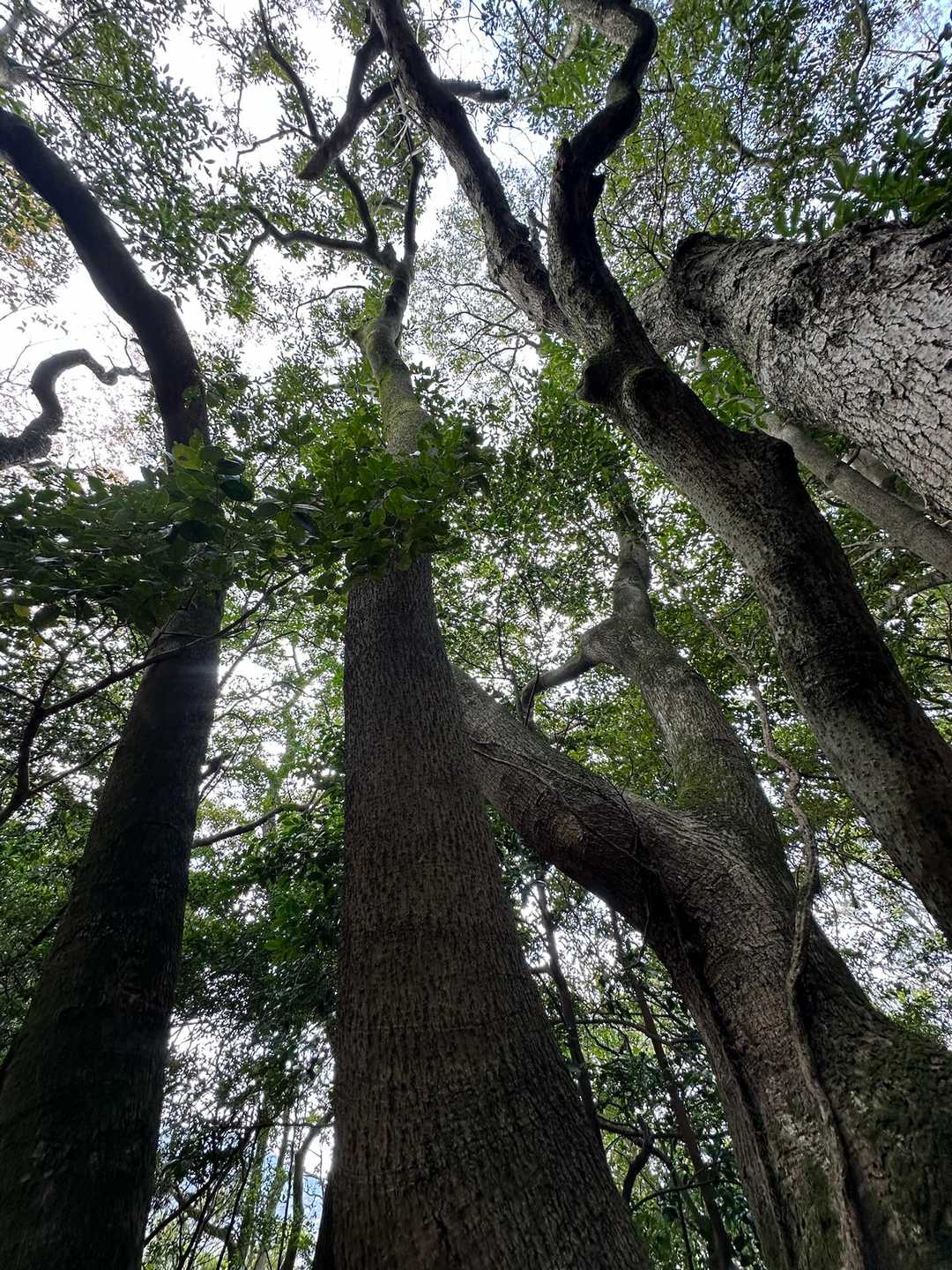 各自の成長も素晴らしい…😍