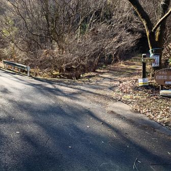 舗装道をしばらく登る