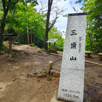 西峰です。アブ少な目だったのでここで昼食
新しめのベンチあります
テーブルなし
