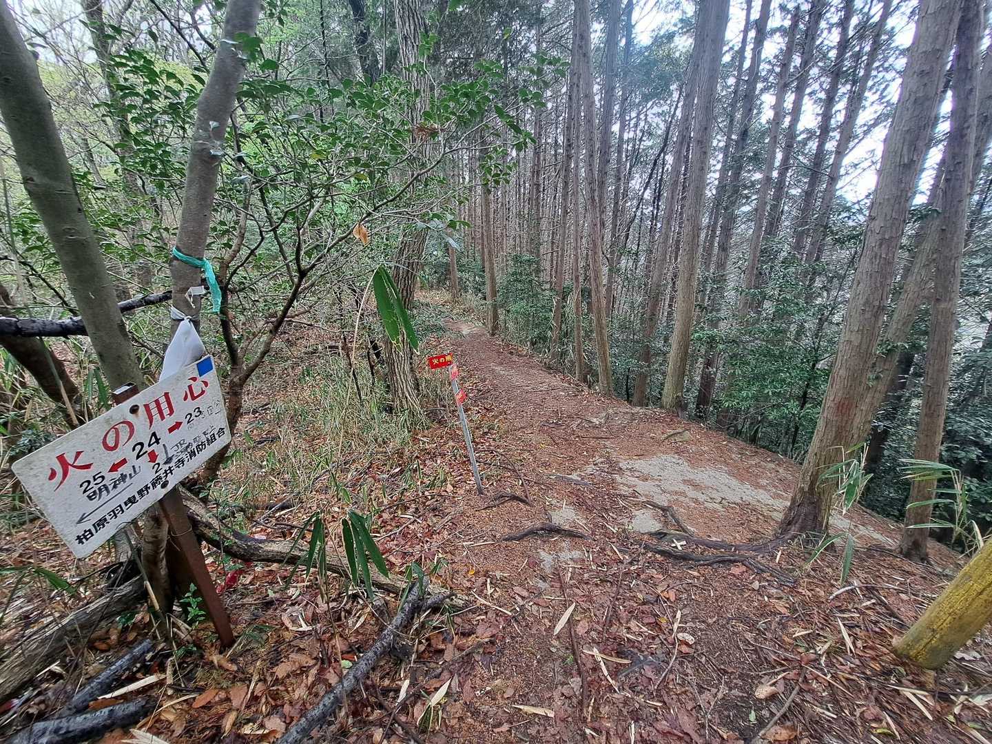 前はこのまま直進🚶
道なき道を探しながら、屯鶴峯までいった🗻

きょうは右折🚶
