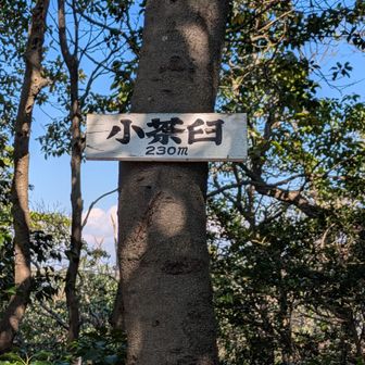 久しぶりの小茶臼