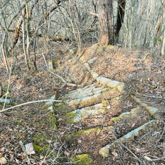 ここを下るけど、なかなか古いし急だし！