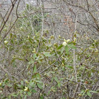 まだまだこれからです♪