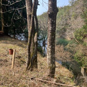 外周路に無事合流。👍
問題は、次の山へ向かうのか、それとも外周を歩くのかという最終選択。