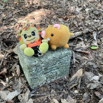 三等三角点🦁阿品🐗

今回あと一等三角点あればサイクル🔺でしたー😅