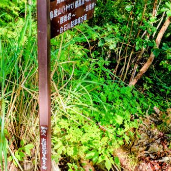 大岩壁を巻いて尾根に乗るとこの標識・・
⇒馬蹄形(要経験者同行)と
矢印は歩いた来た北西尾根を示している
