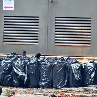 な〜んだ！？　😆