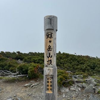 登頂！