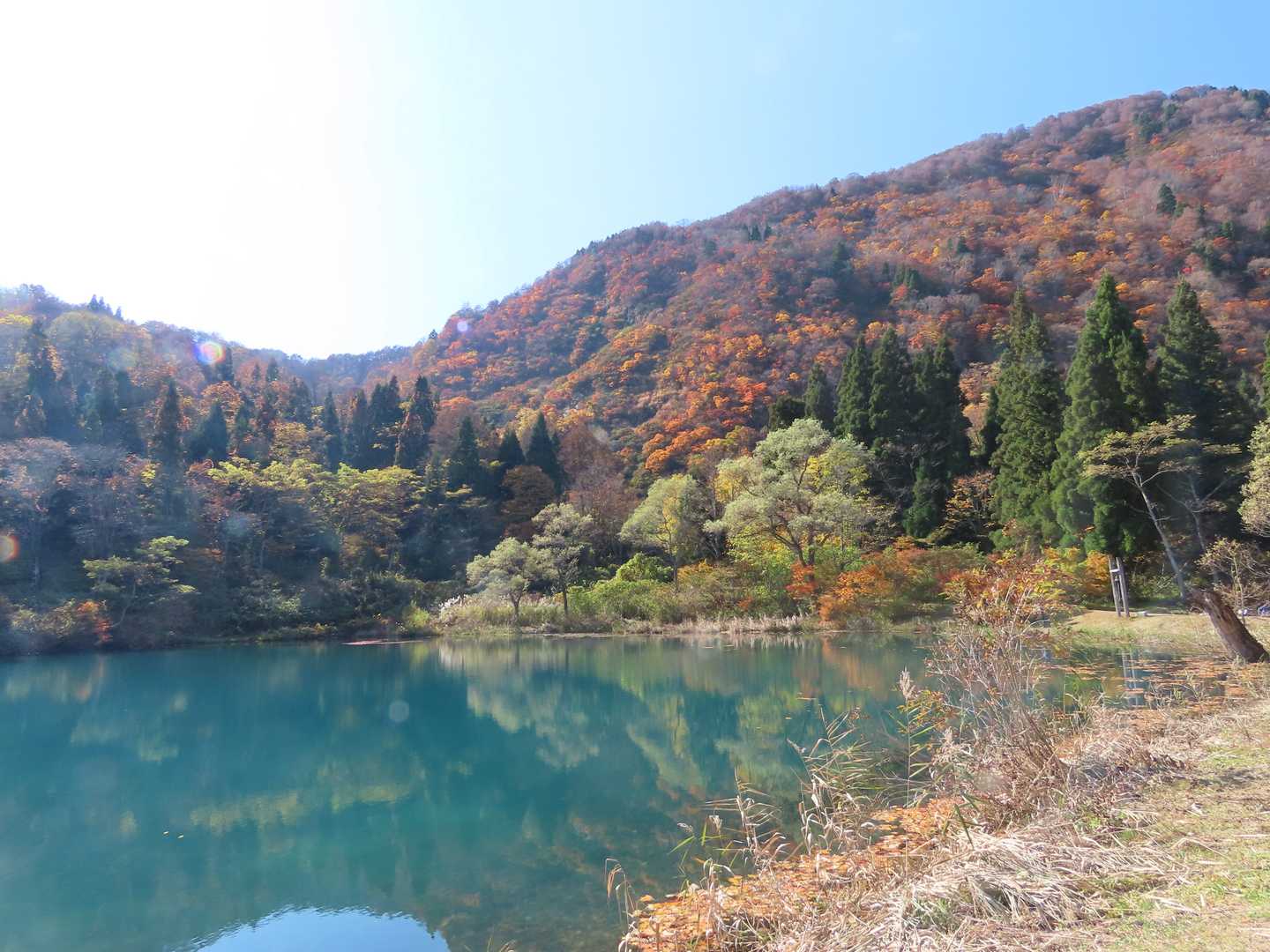 しろ池到着。