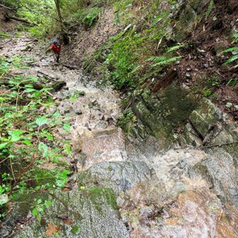 途中で土砂降り💦すごい泥川に、、