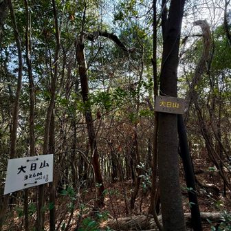 大日山ピークハント⛰️