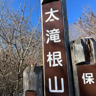 山名板がなかったので風景林の文字を入れずに記念撮影📸