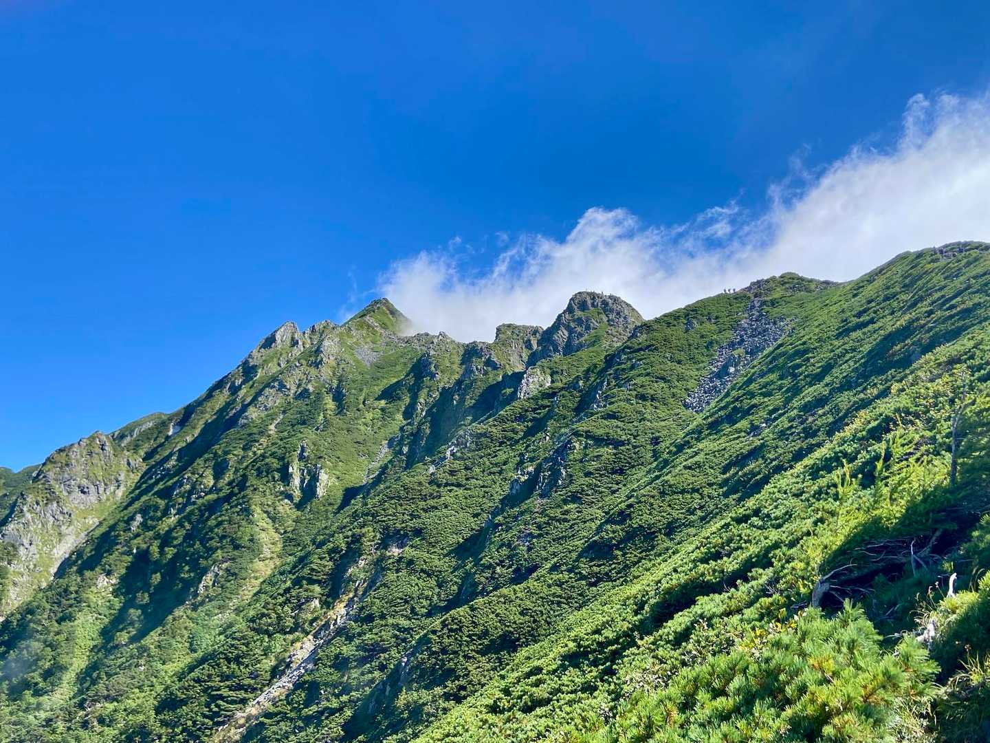 山頂が 台形みたいになってる所が独標です！