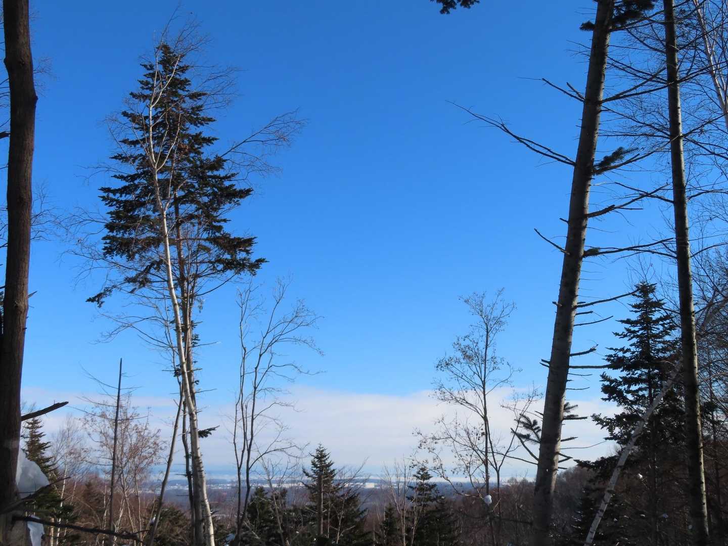 白旗山森林活用センター-月寒台-札幌台-白旗山 周回コースの写真