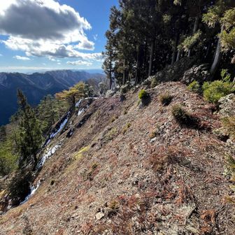 ただし崖っぷち🤣
こんなんだから、落ち着いて🍙しにくいんだよね、susu兄😅