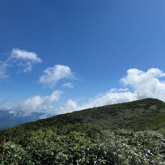 本峰を仰ぎ見る