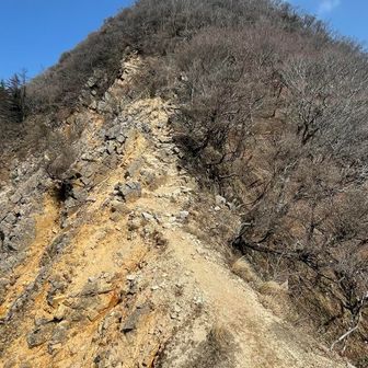 そろーりと行きたいが、さっさと渡る🤣