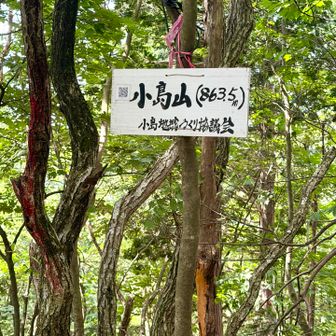 展望はありません。