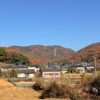 良い山でした🎵