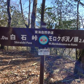 ナメクラ沢ノ頭ヨシ🙋