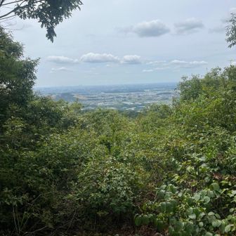 山頂のみ景色あった