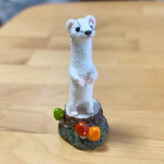 くにまゆ