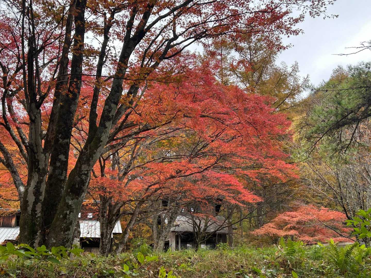 榛名富士登山口-榛名富士-烏帽子ヶ岳-ロッジ前バス停 周回コースの写真