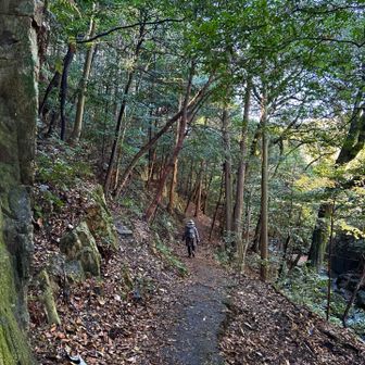 ちょっと薄暗いけど…