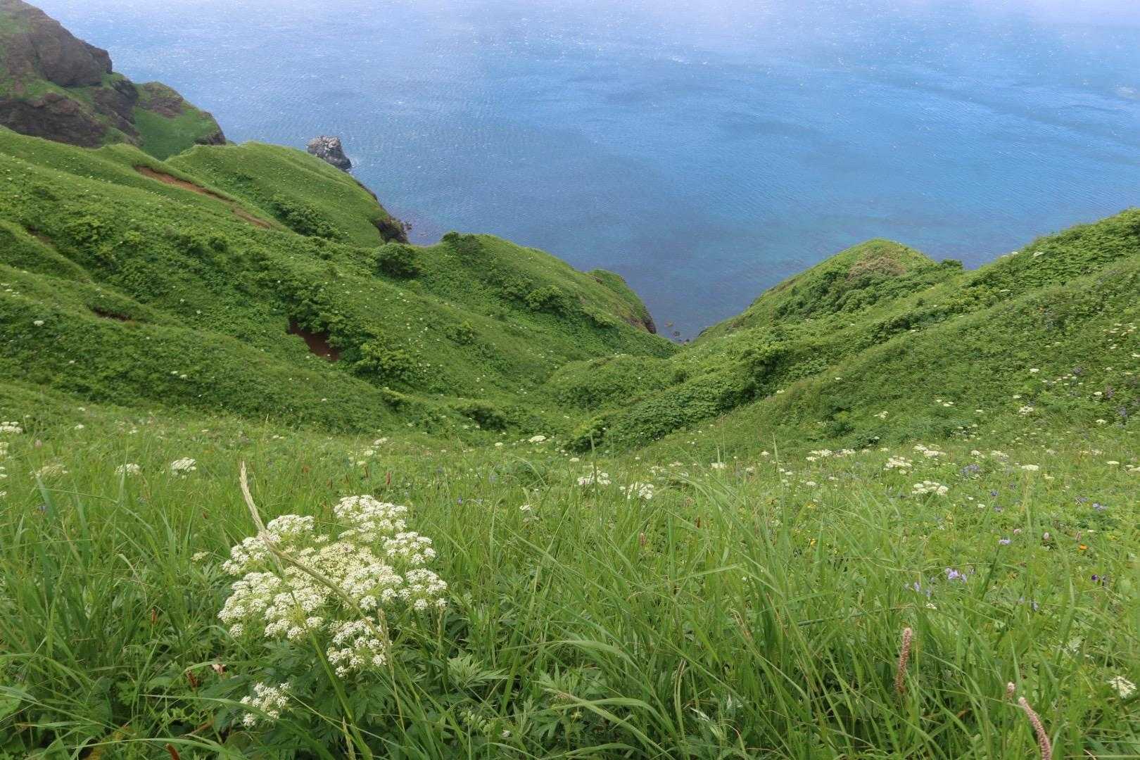 なんて綺麗な🤩