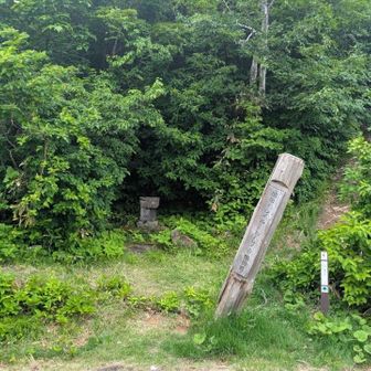 お腹も満たされたので次のお山へ👣