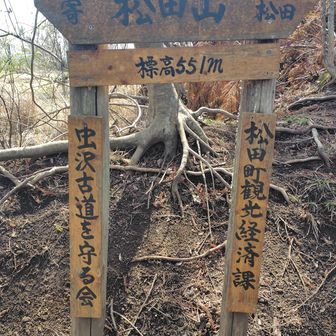 松田山山頂　５５１ｍ