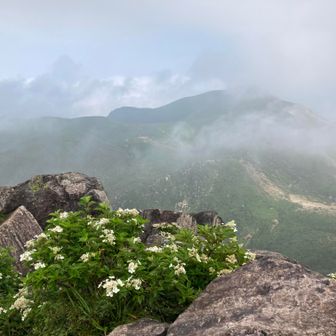星生山、その１