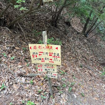 縦走できる山があるみたい
ちゃんと調べてみよ