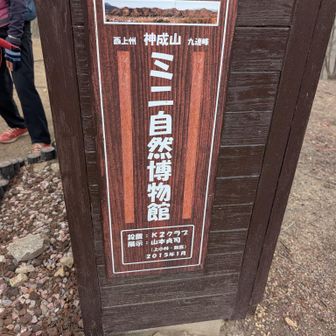 四峰*ミニ自然博物館