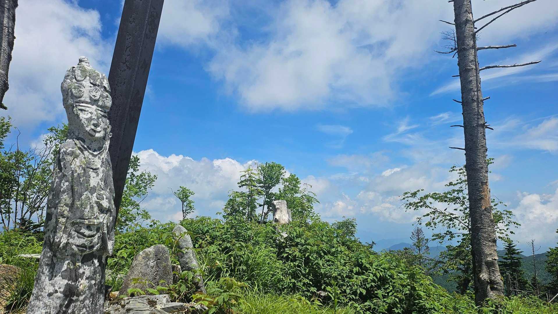 経ヶ岳 | 中央アルプス北端の二百名山。季節の花々が彩る稜線と山岳パノラマを堪能の写真
