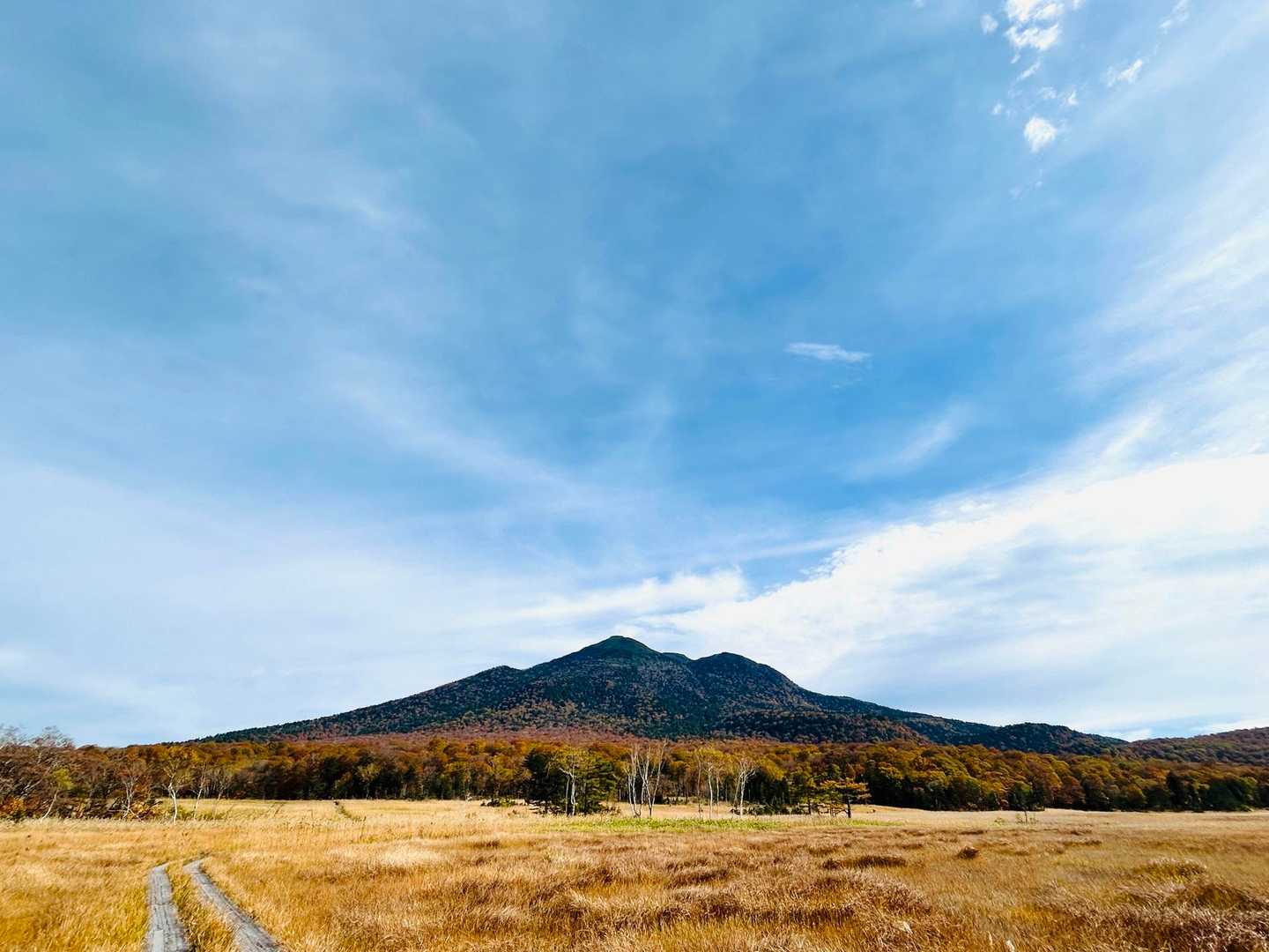 鳩待峠バス停発着｜尾瀬ヶ原周回コースの写真