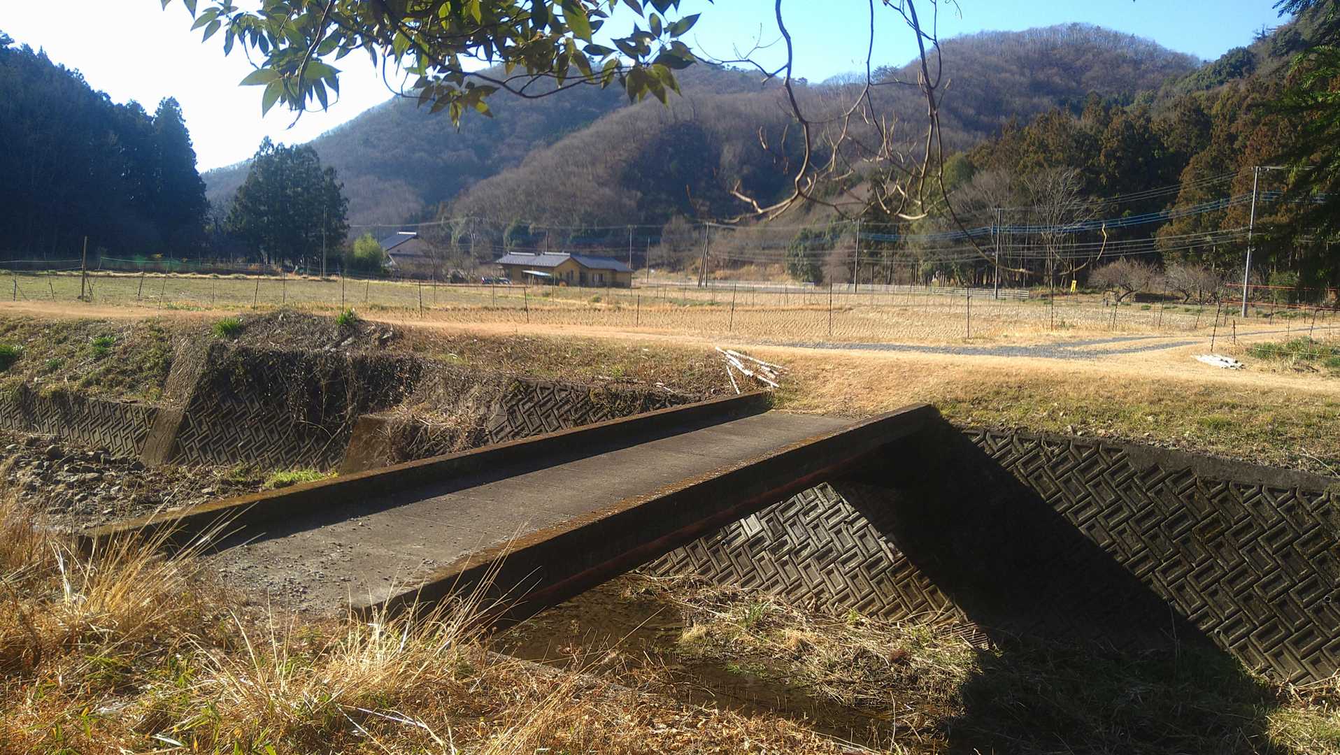藪道を通って橋のあるところに出ました
