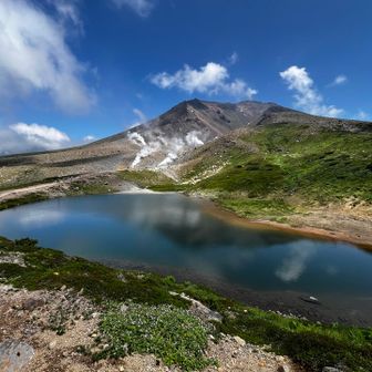 姿見池からの旭岳⛰️
絵になりますね