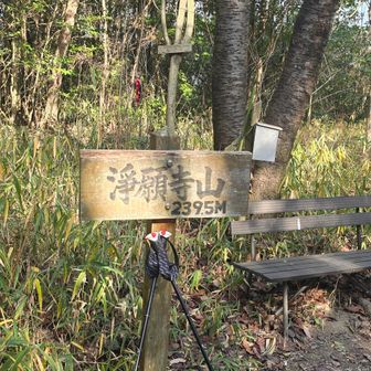 常願寺山～⛰️