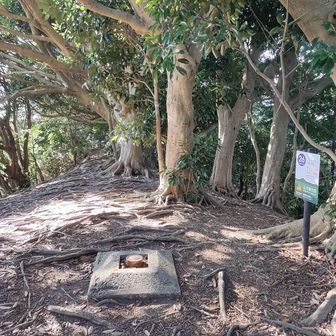 あれっ、高塚とかってもっと東ではなかったけ？

と言うことは…