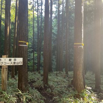 ハイキングコースとして整備されています🎵
