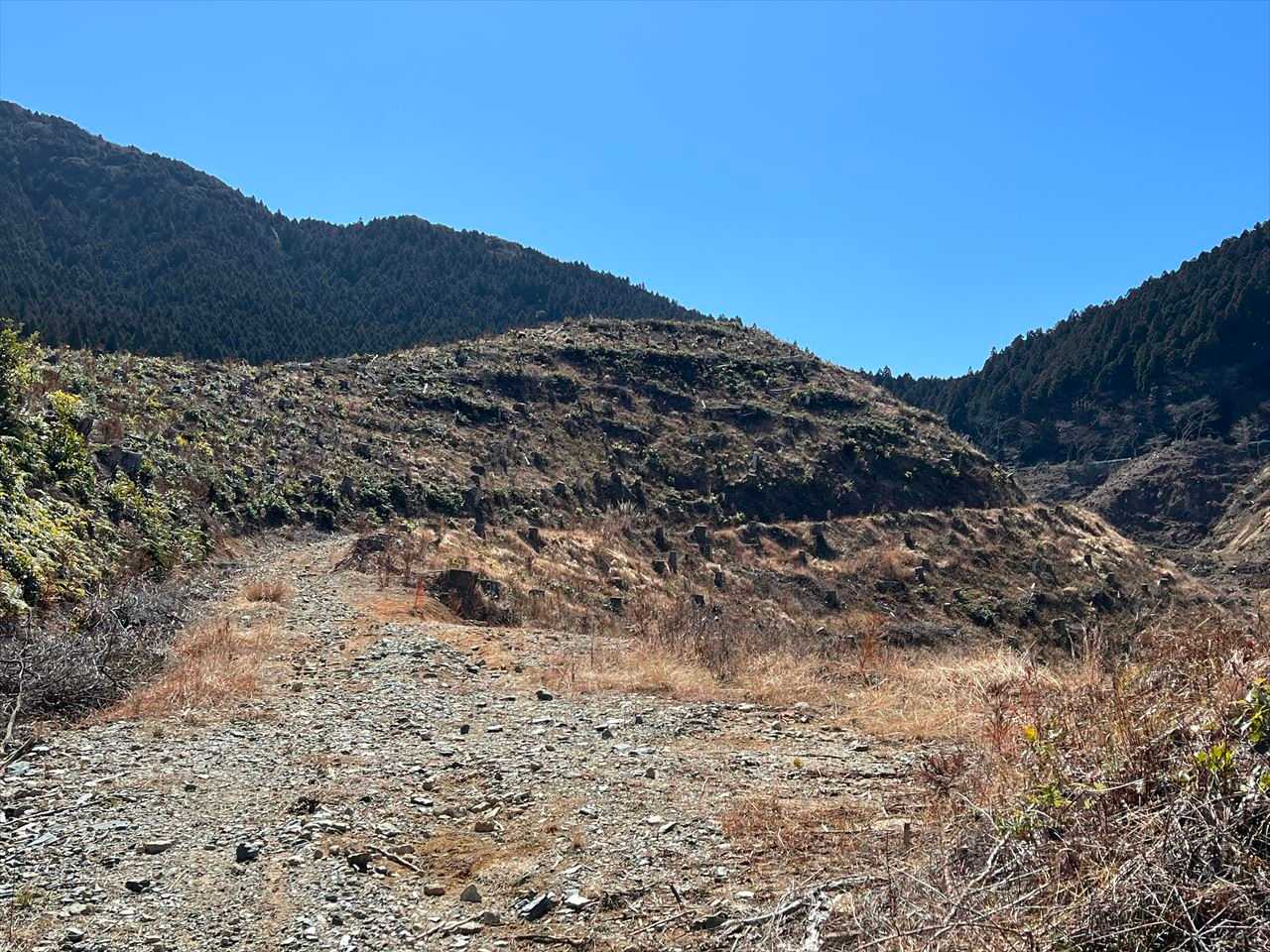 この辺りは別の山の雰囲気