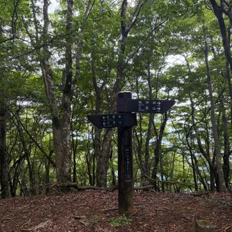 白くらの頭で折返し