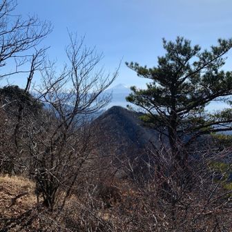 少し休憩して戻ります。