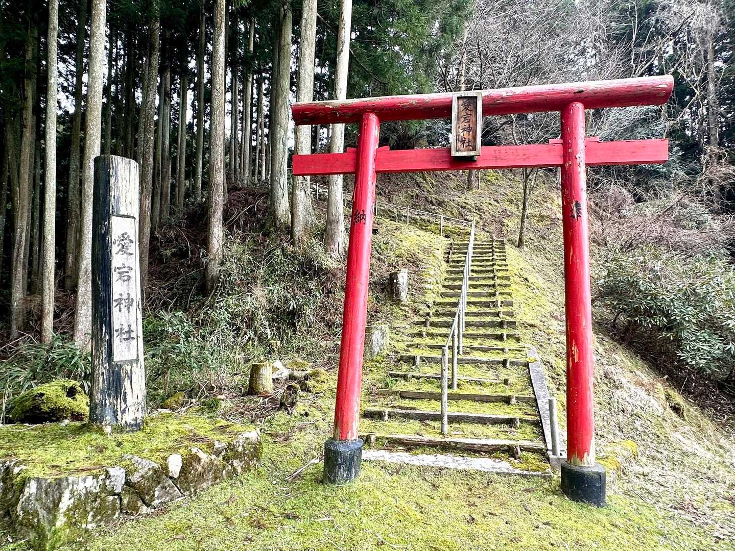 高城岳-三郎岳 周回コースの写真