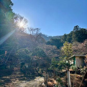 あの真ん中のてっぺんが天狗山👺