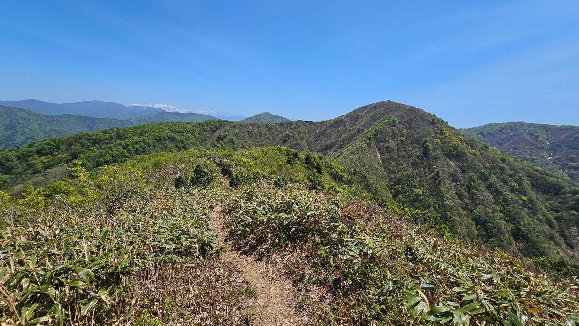 この景色眺めながら目指すはあの小屋のある山頂